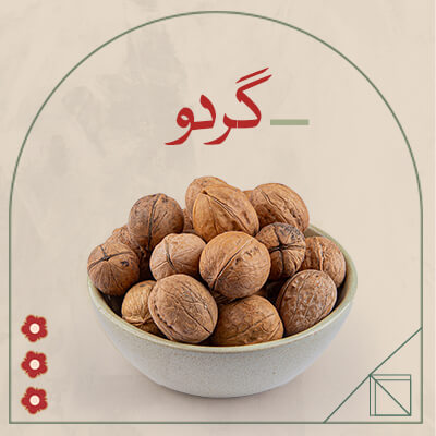 گردو ایرانی