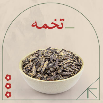 تخمه و دانه‌ها