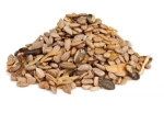 مغز تخمه