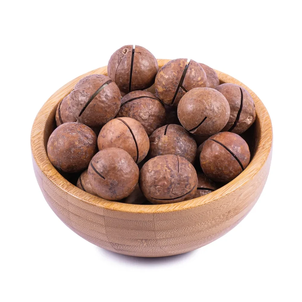 macadamia-in-shell222-2
