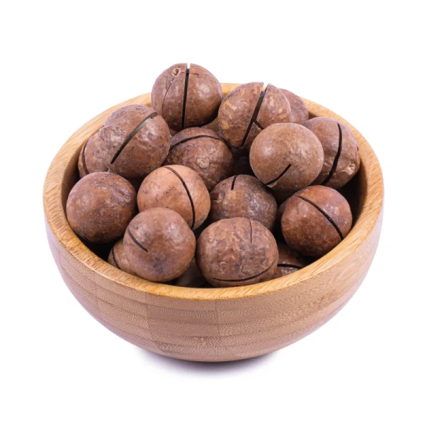 فندق ماکادمیا باپوست