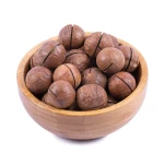 macadamia-in-shell222-2