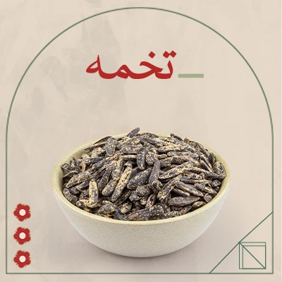 تخمه