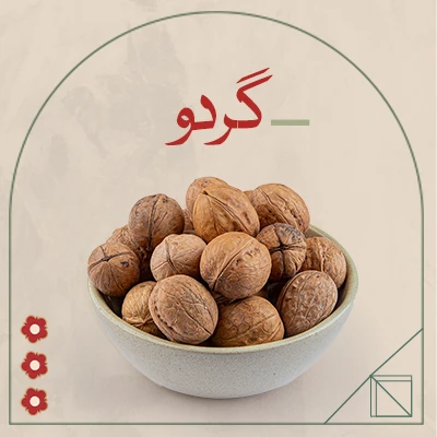 گردو