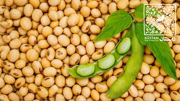 سویا آجیلی.png