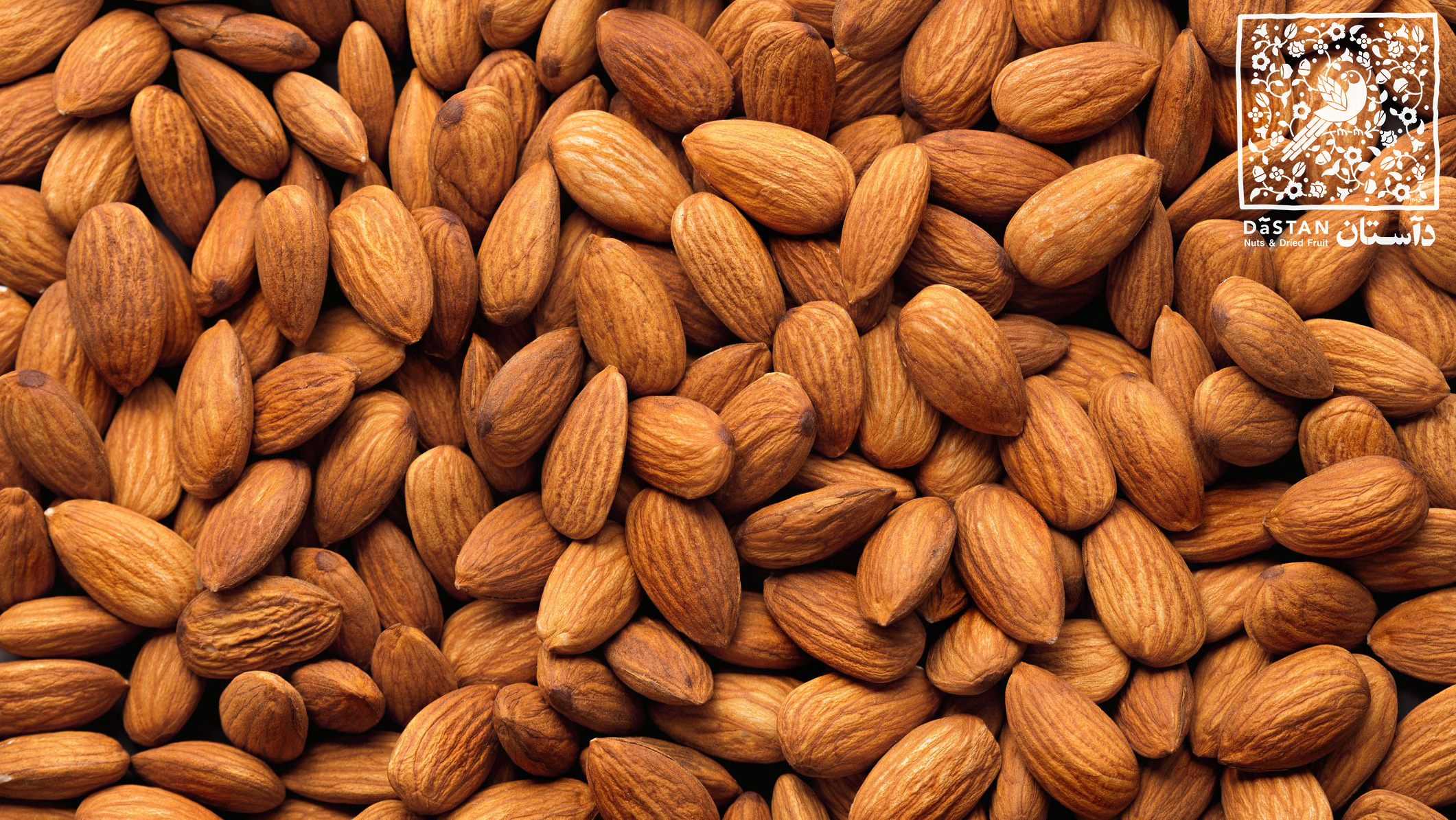 تاثیر انواع بادام بر روی پوست و مو