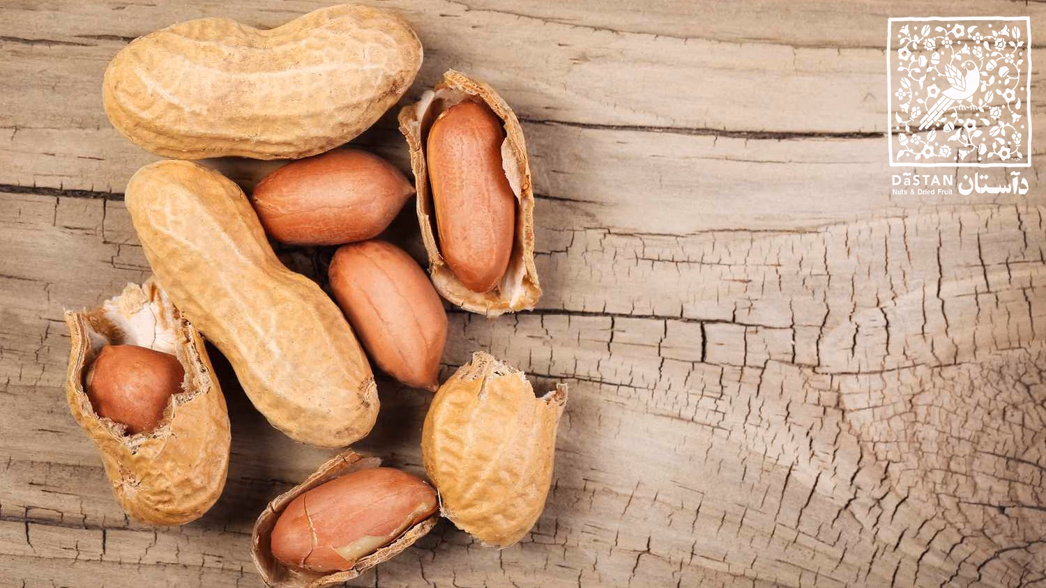 __opt__aboutcom__coeus__resources__content_migration__mnn__images__2015__09__CrackedPeanutShells-60cc7d4babf44c90b2ba3bcc5415c19d.png