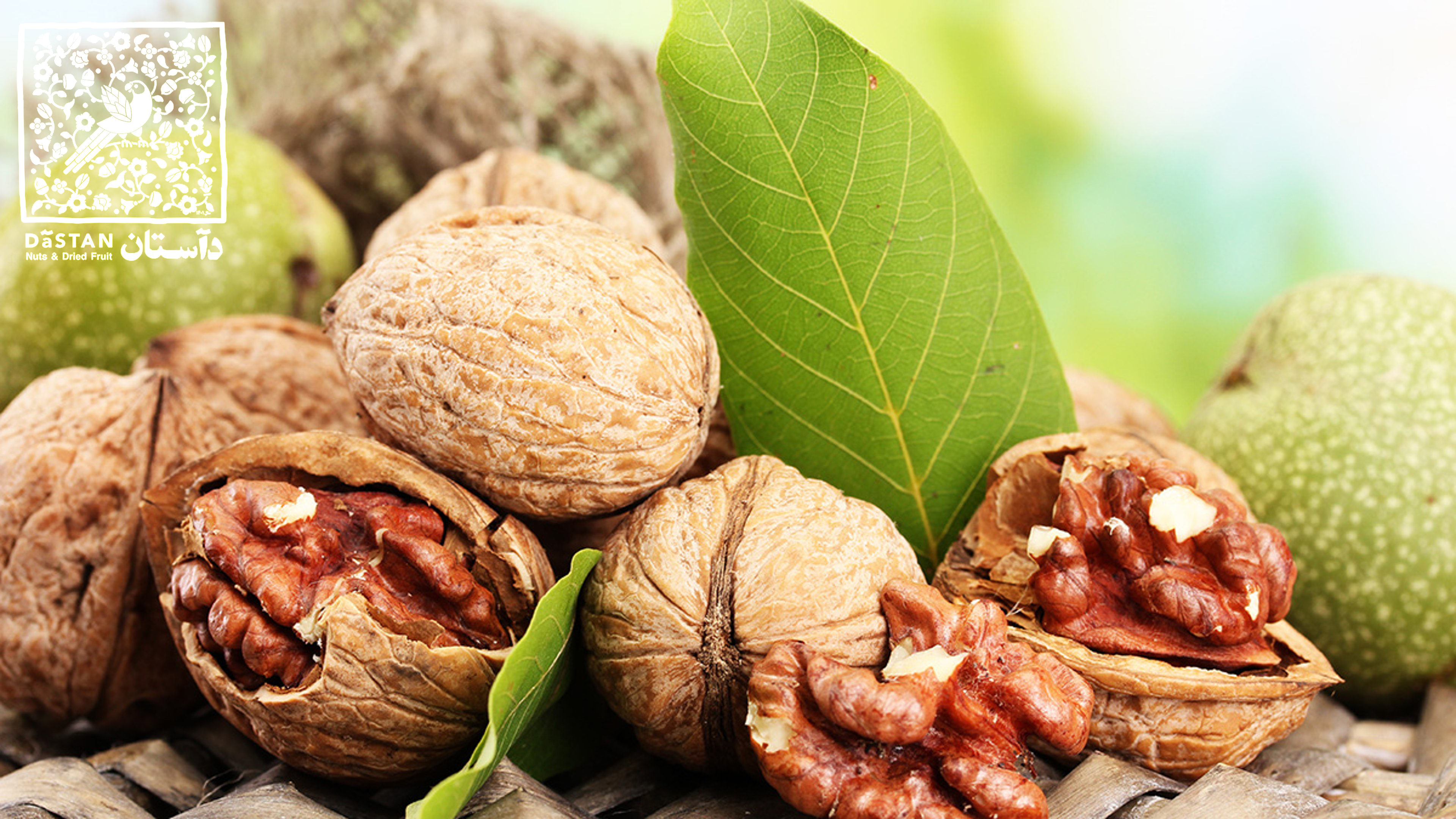 گردو تازه یا خشک؛ کدام ارزش غذایی بیشتری دارد؟